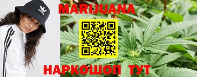 PSILOCYBIN Кунгур